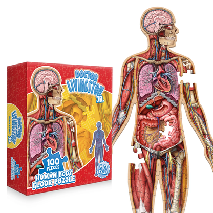 Human Anatomy Puzzle for Kids