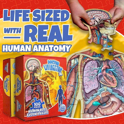 Human Anatomy Puzzle for Kids
