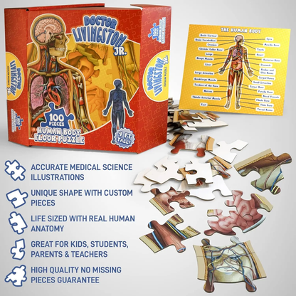 Human Anatomy Puzzle for Kids